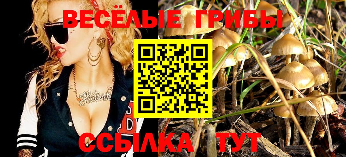 цены   Вход с VPN  Удомля  Галлюциногенные грибы Magic Shrooms  Псилоцибиновые грибы мицелий 